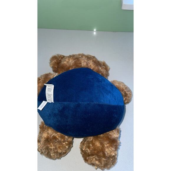 11" Forever Collectibles Sitting Plush Teddy Bear NFL Seattle Seahawks Football - Picture 6 of 6